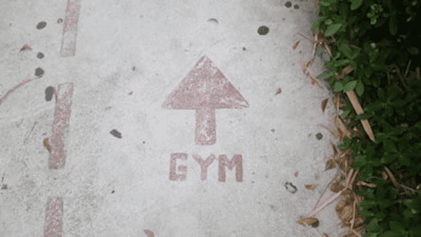 “Find amazing deals on fitness equipment for your home gym”