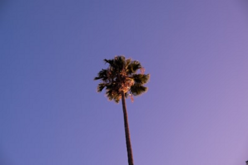 los angeles weather: Breaking News