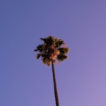 los angeles weather: Breaking News