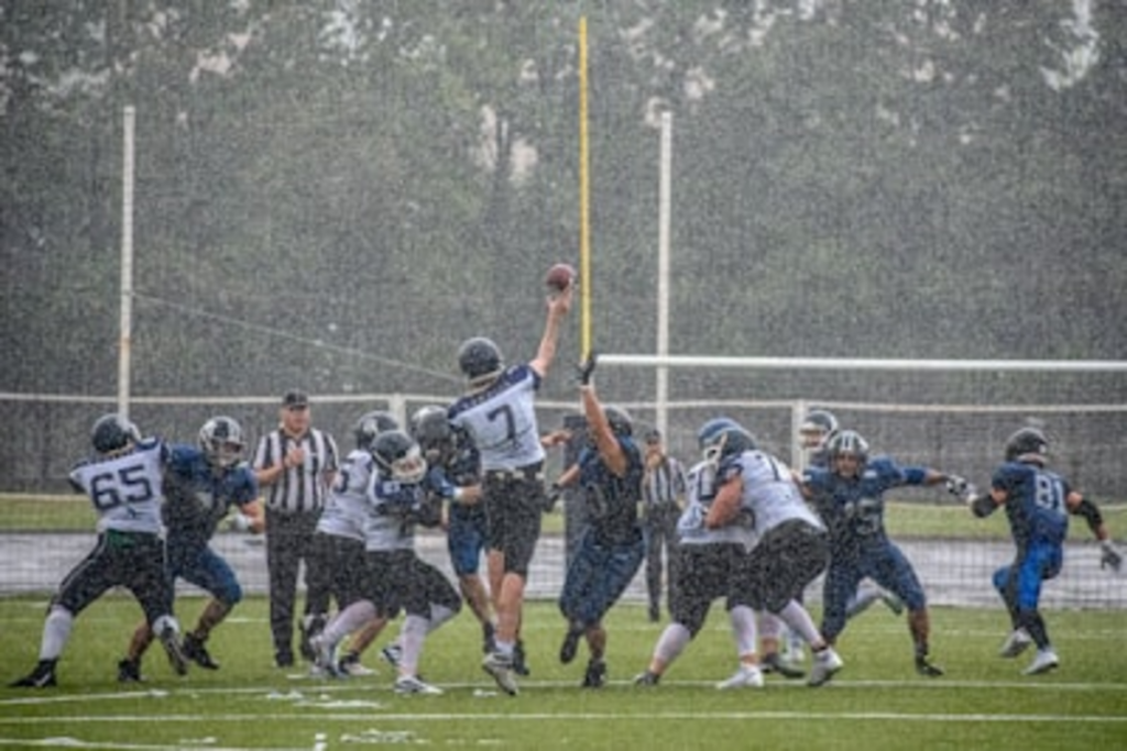 Featured image for: dolphins quarterbacks: Breaking News