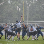 Featured image for: dolphins quarterbacks: Breaking News