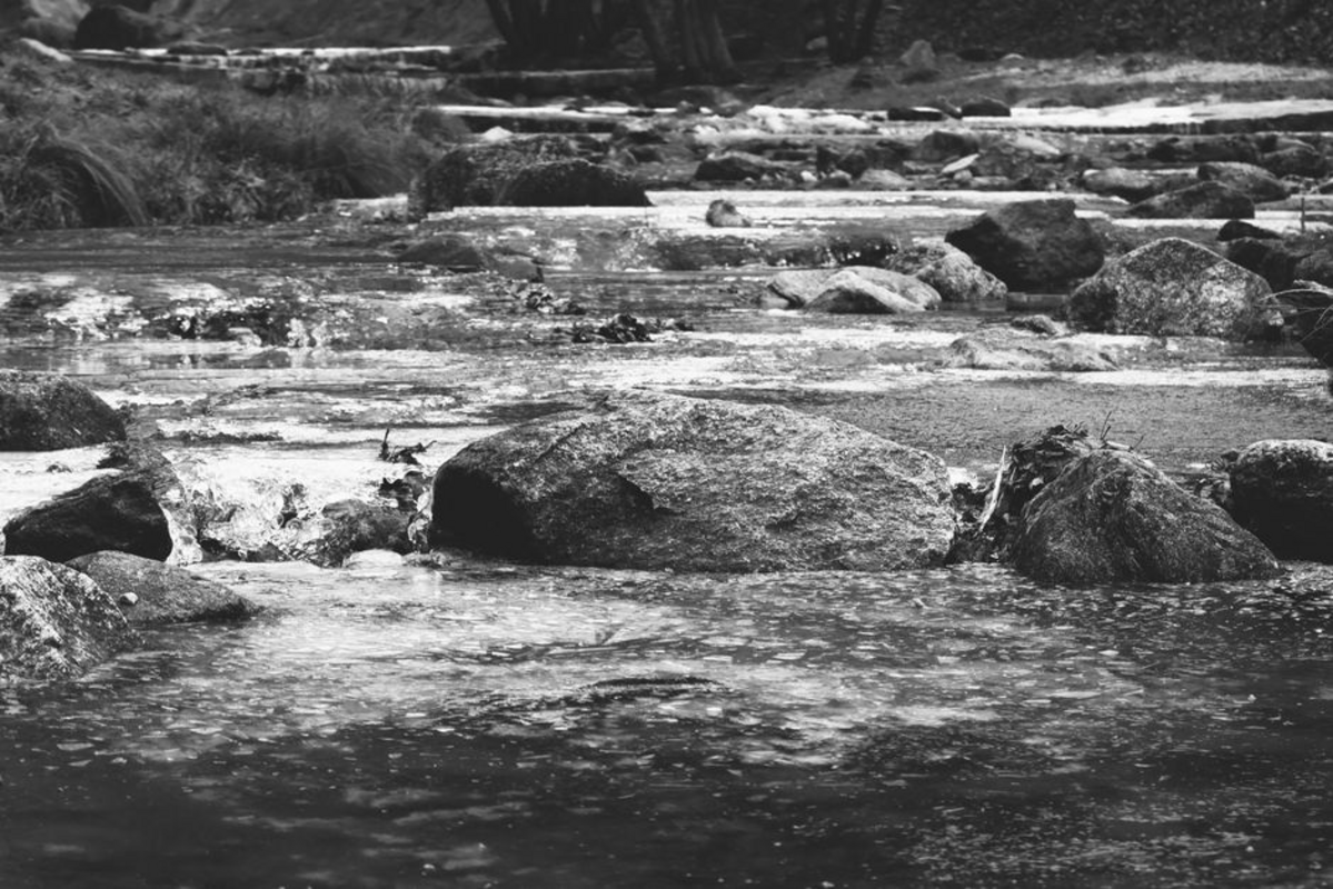 yuba river art — Yuba River Art Exhibition on July 2