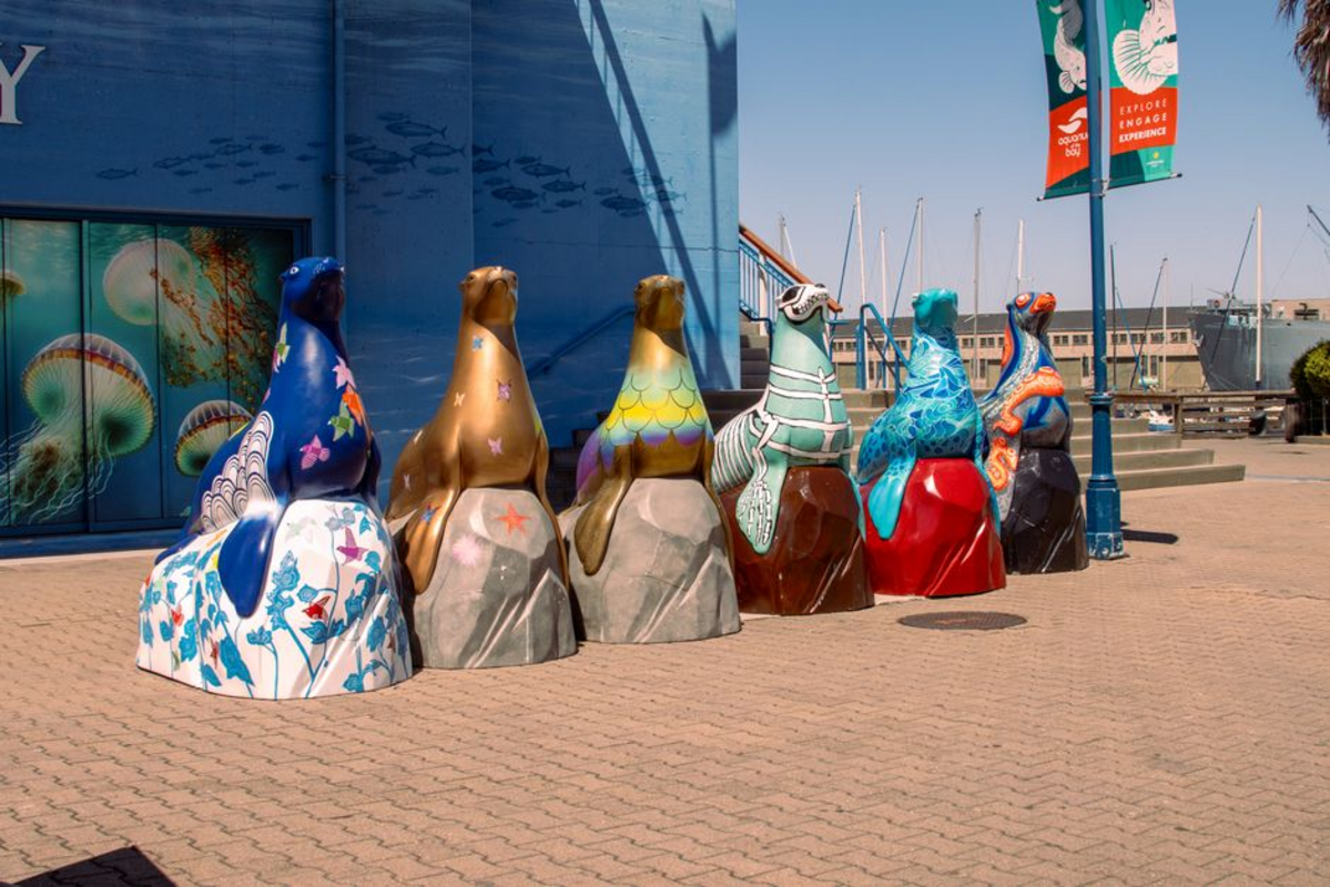 turtle bay exhibition — Turtle Bay Exhibition: Artist Submissions Now Open
