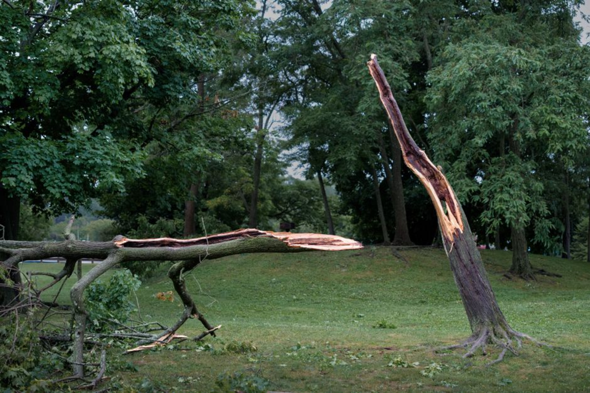 maine storm damage — Maine Storm Damage Updates at Noon